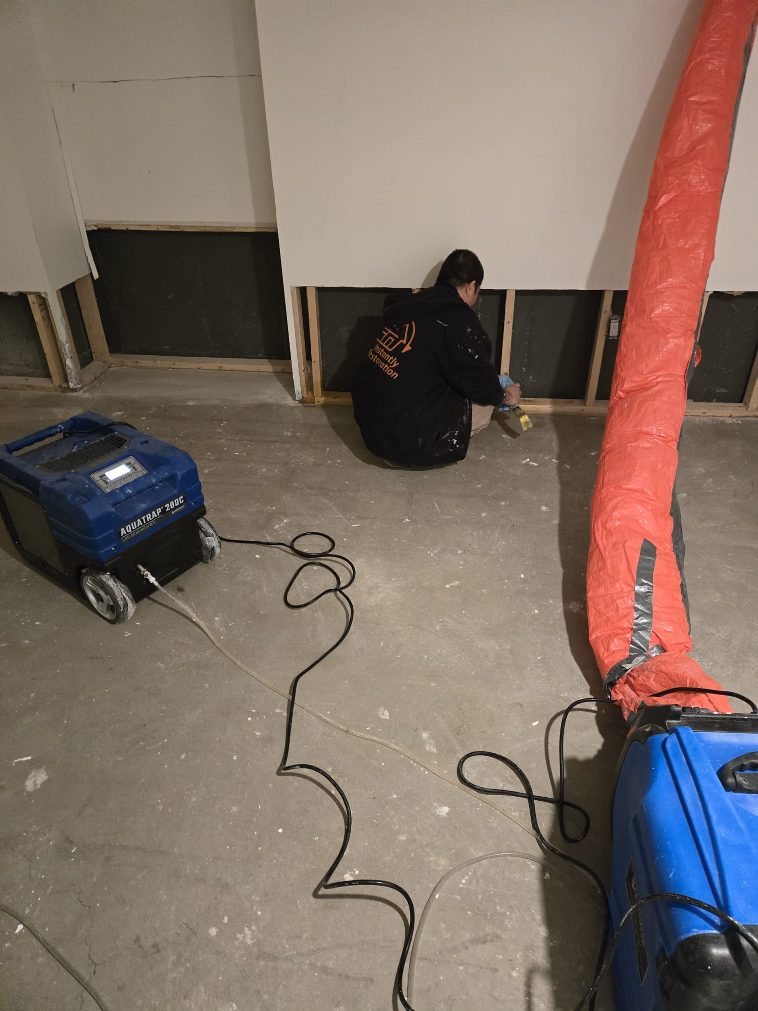 Mold removal and remediation service
