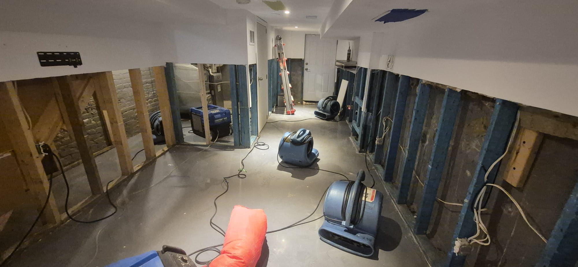 Basement renovation project