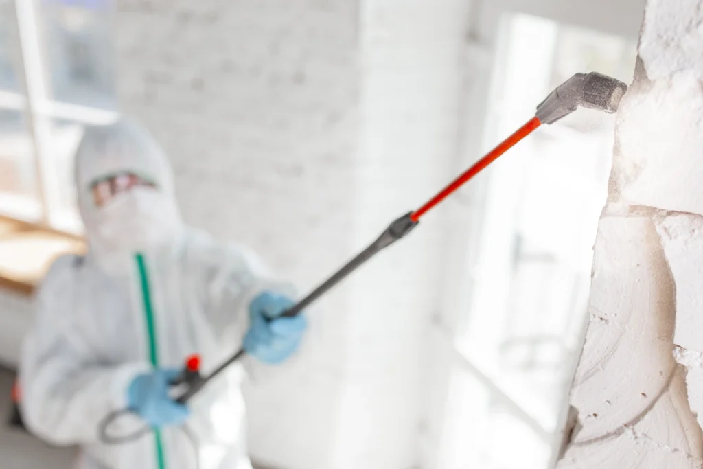 kitchen mould removal scarborough
