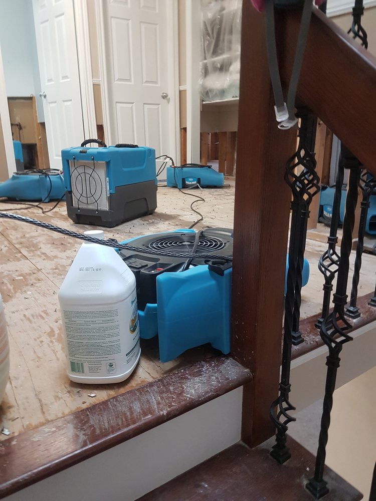 That Musty Smell Coming From Upstairs