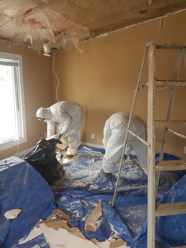 Why Mold Grows in Wet Ceilings