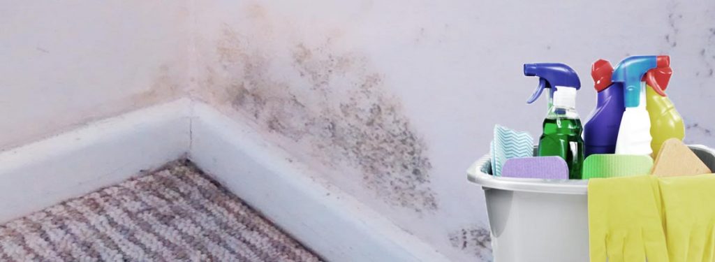 water damage ontario