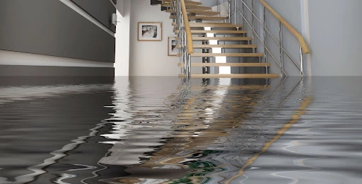 water damage restoration york mills 