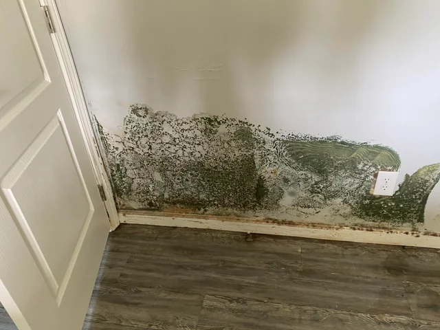 Mold Inspection Toronto 
