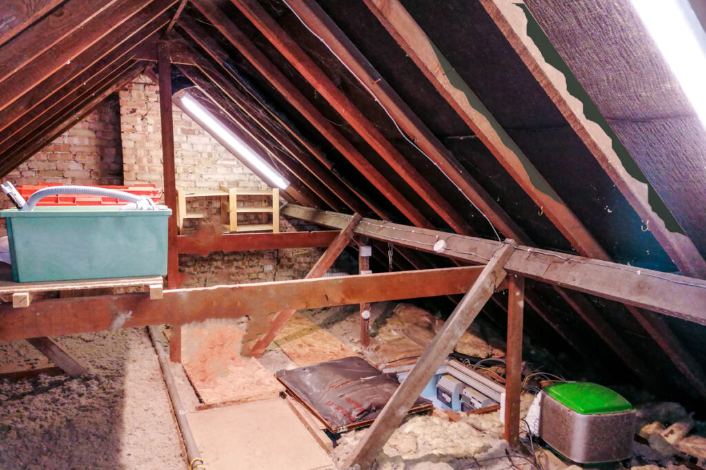 attic mold removal in toronto
