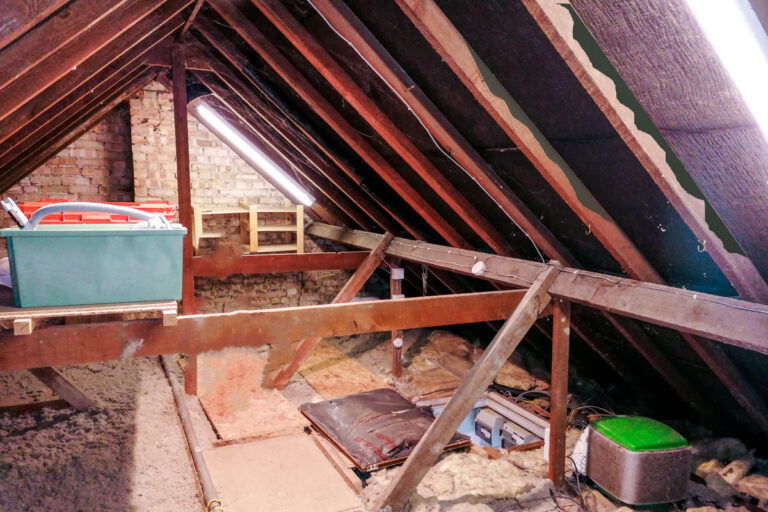 Mold Prevention and Remediation