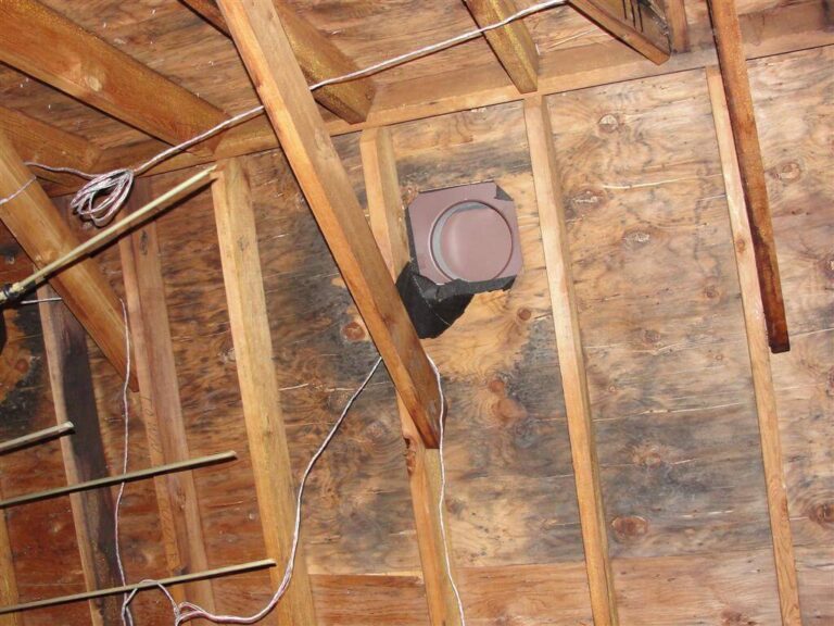 Understanding the Root Cause: Why Mold Even Shows Up