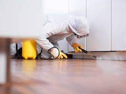 mold inspection services in toronto, ontario