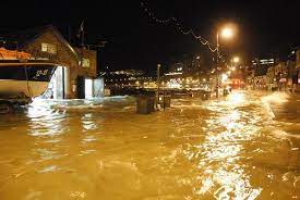 water damage services east york on