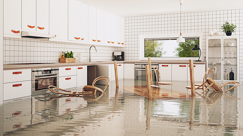 water damage ontario