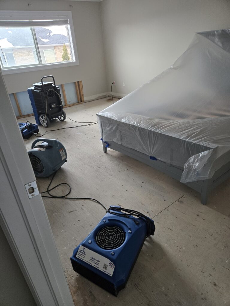 The Inspection Phase