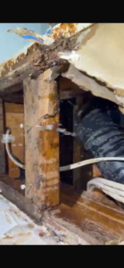 Flood damage repair Toronto water-damaged ceiling