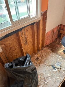 Mold removal East York Toronto remediation service