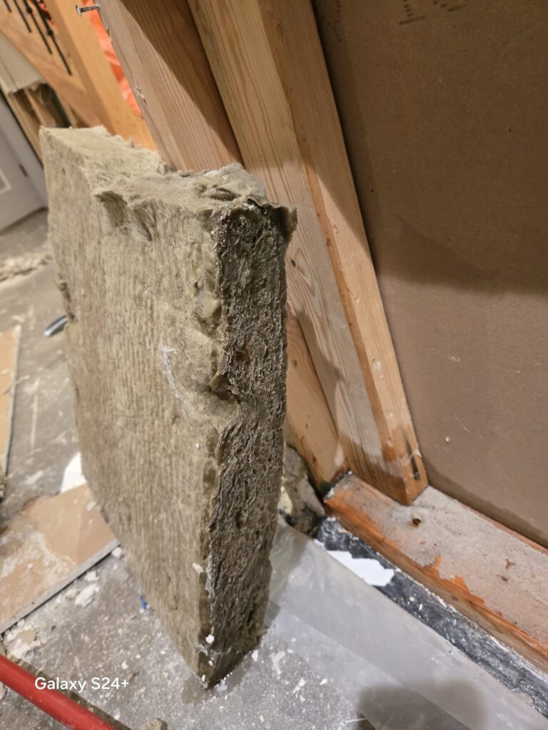 Mold-stained insulation beside exposed wall framing